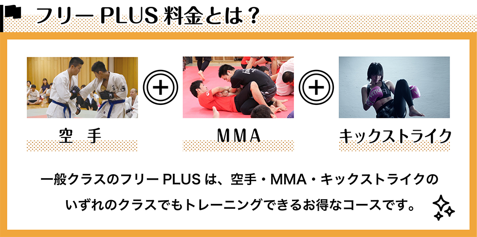 フリー PLUS料金とは?一般クラスのフリーPLUS は、空手・MMA・キックストライクの
いずれのクラスでもトレーニングできるお得なコースです。